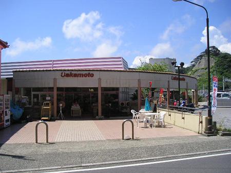 katsuura6_0.jpg