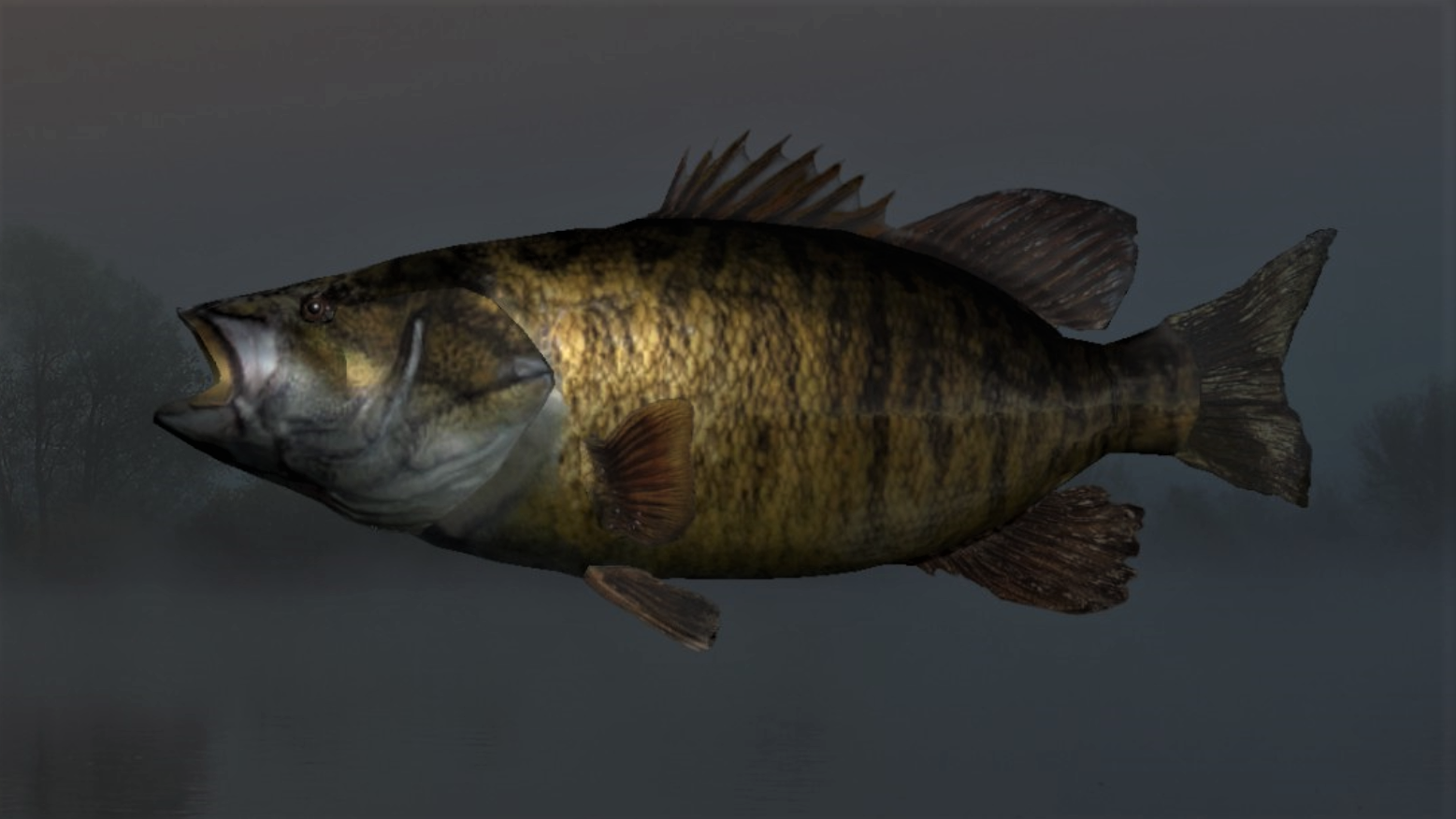 BLACK BASS2.jpg