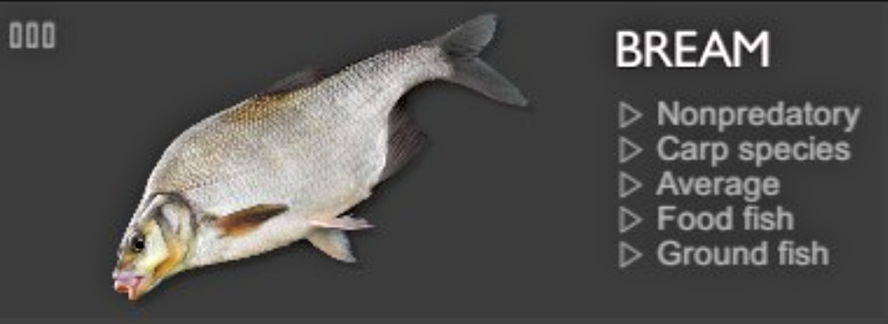 BREAM.png