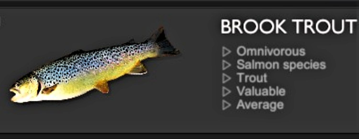 BROOK TROUT.jpg