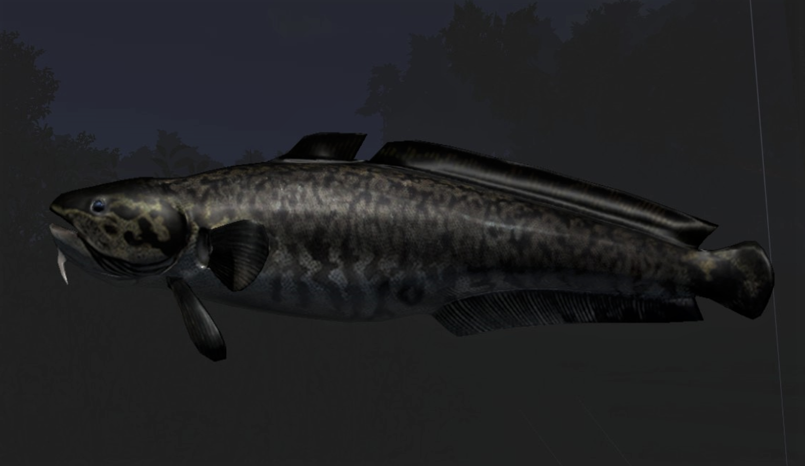 BURBOT2.jpg