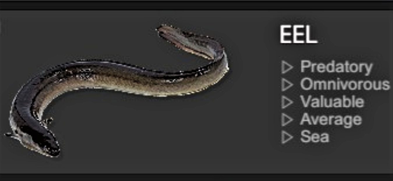 EEL.jpg