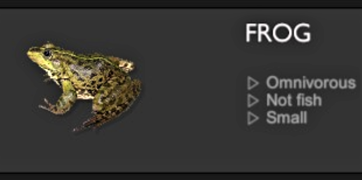 FROG.jpg