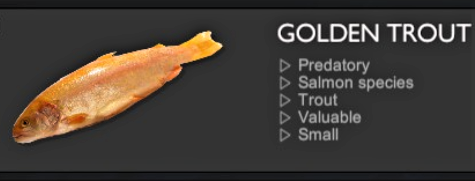 GOLDEN TROUT.jpg