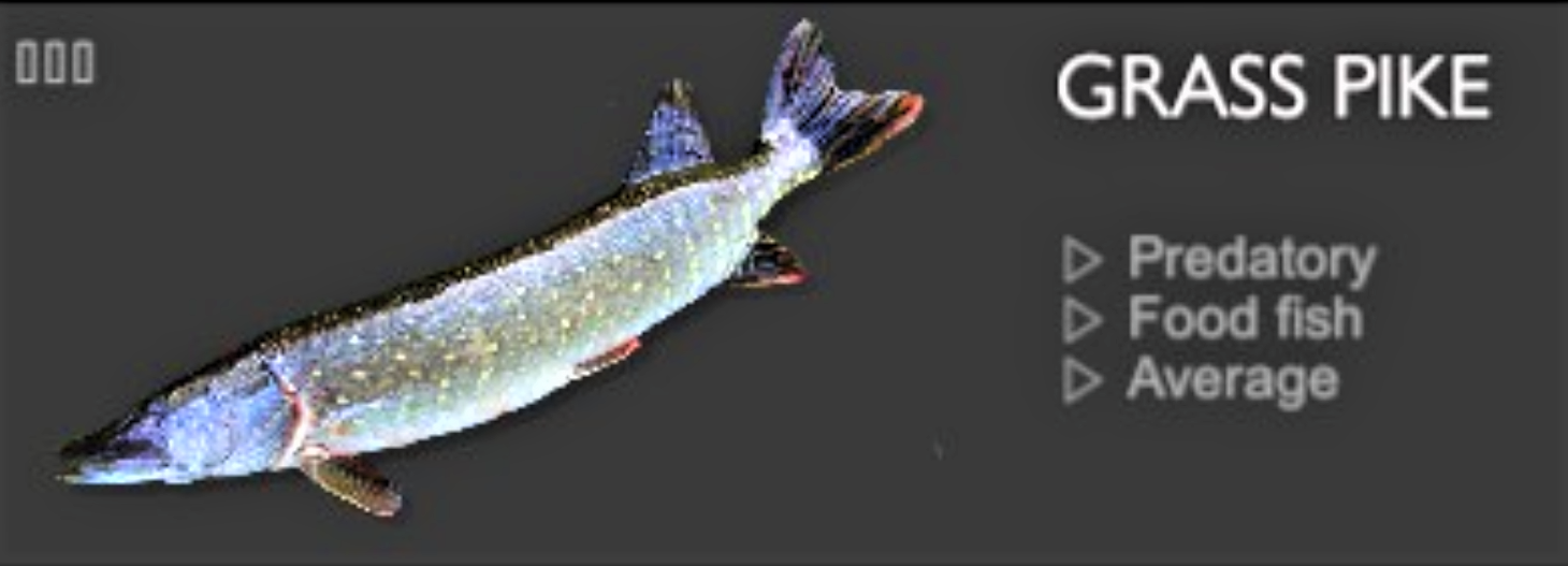 GRASS PIKE.png