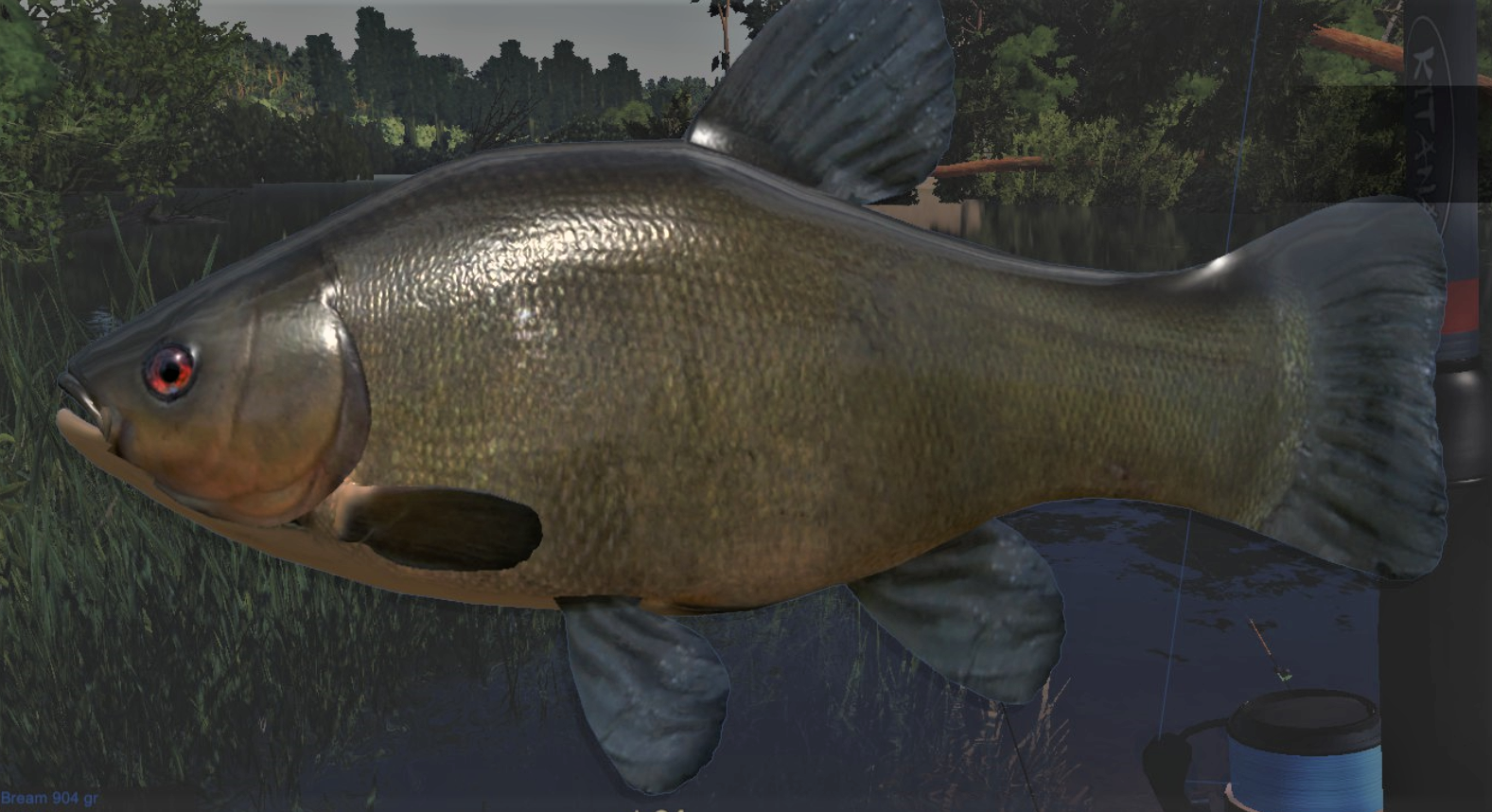 TENCH2.jpg