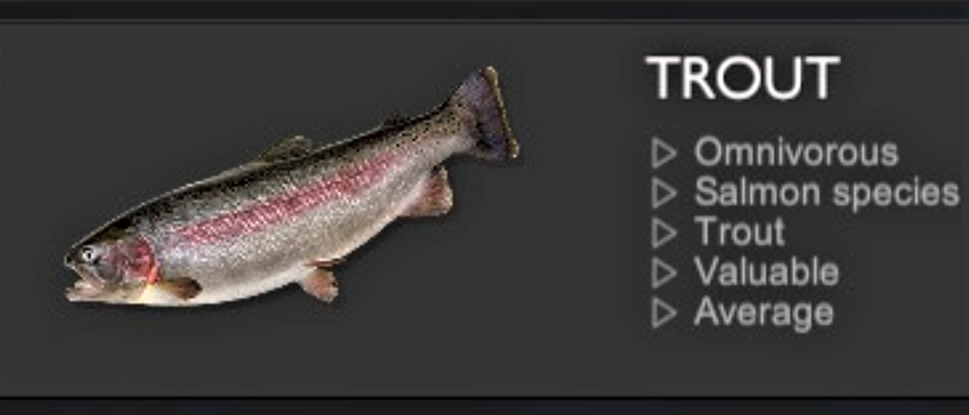 TROUT.jpg