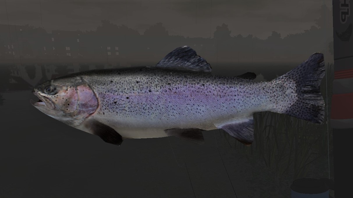 TROUT2.jpg