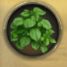 mem_komo.png