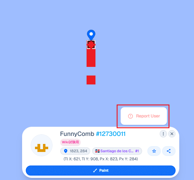 Report User_2.png