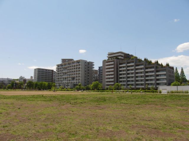 euforia07.jpg